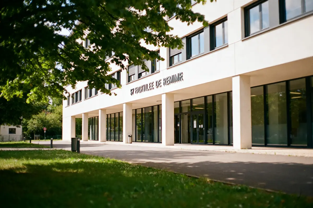 Fac de droit Reims : licence, formations et avis clés